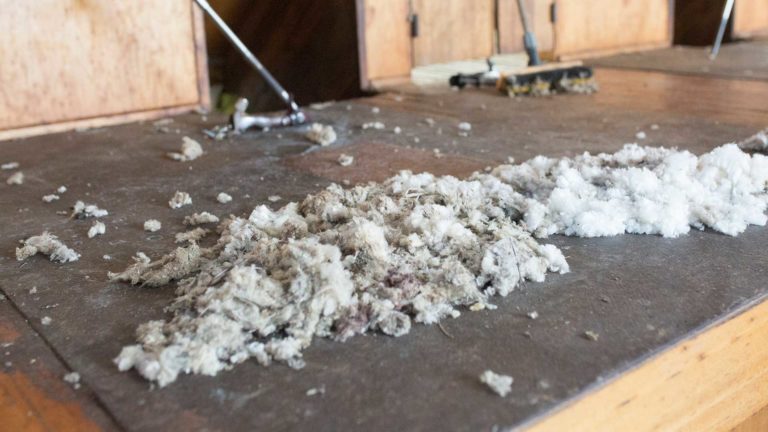 Wool Shed Floor | Andy Duggan Shearing, NSW, Australia