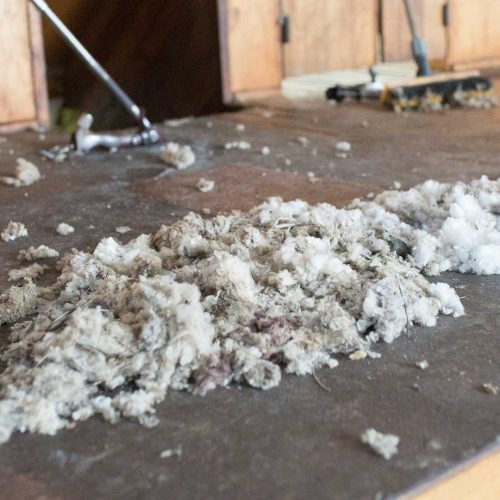 Wool Shed Floor | Andy Duggan Shearing, NSW, Australia